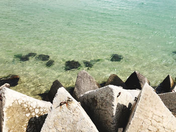 High angle view of rocks on beach