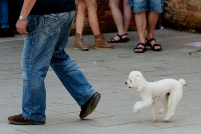 Low section of women standing with dog