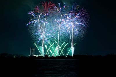 Low angle view of firework display at night