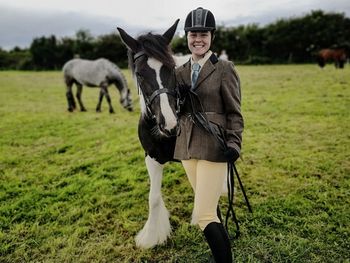 Portrait of a horse on a field