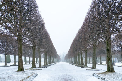 Panoramic shot of snow covered land against sky