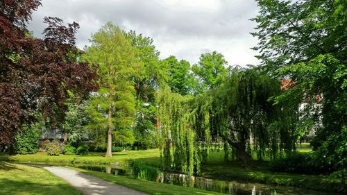 Scenic view of landscape against cloudy sky