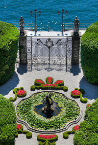 High angle view of fountain in garden