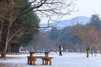 Garden and trees on snow covered land nami island korea 