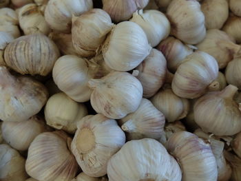 Full frame shot of garlic