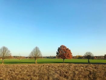 Scenic view of field against clear blue sky