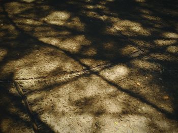 High angle view of shadow on footpath