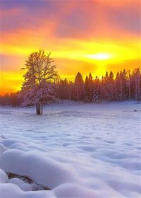 Scenic view of snow covered field against sky