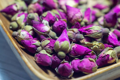 Close-up of purple flowers in container