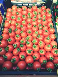 Close-up of tomatoes for sale at market stall