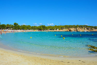 Scenic view of beach