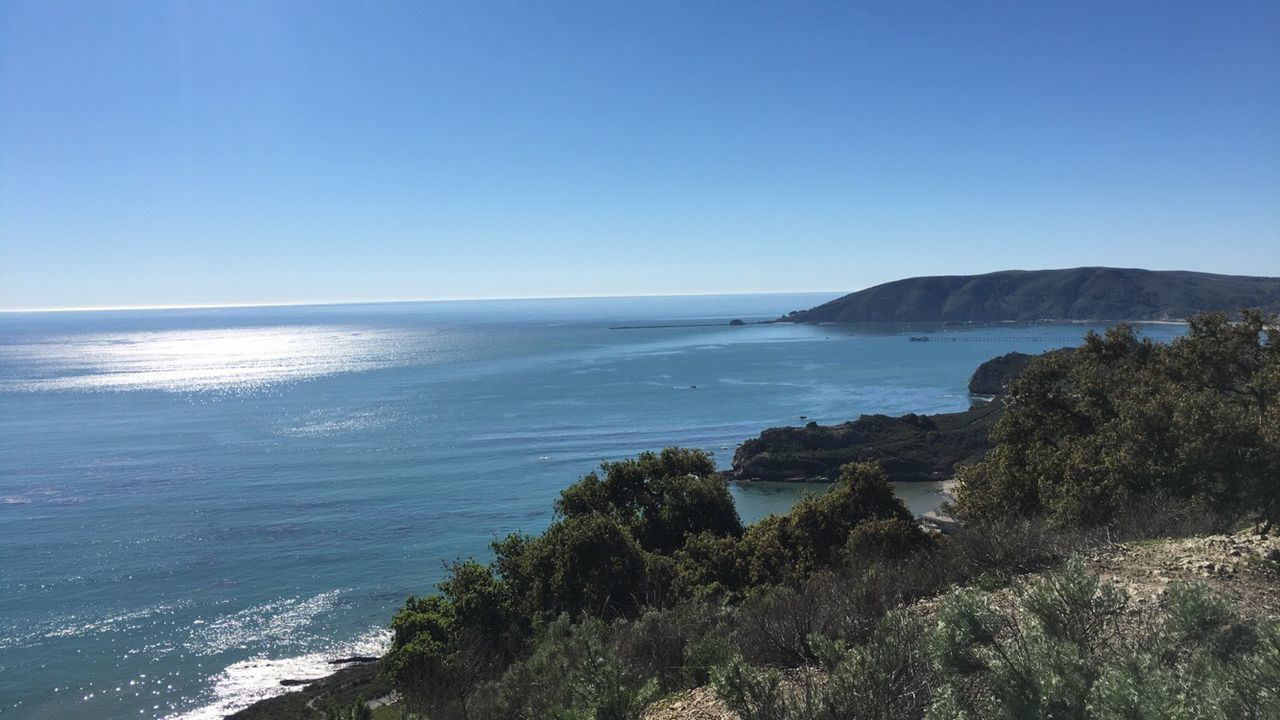 sea, clear sky, water, horizon over water, copy space, tranquil scene, scenics, tranquility, blue, beauty in nature, beach, nature, shore, coastline, idyllic, tree, outdoors, day, remote, non-urban scene