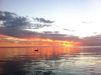 Scenic view of sea at sunset