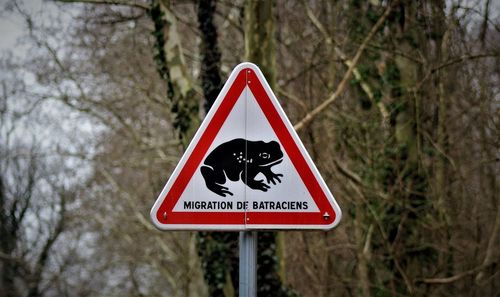 Close-up of road sign against trees