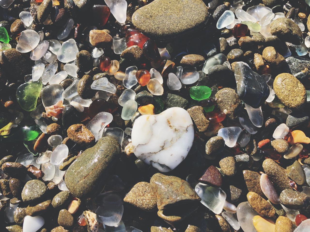 animal wildlife, no people, solid, water, nature, stone, rock, pebble, day, animal, stone - object, sea, full frame, high angle view, animal themes, backgrounds, outdoors, underwater, sea life, marine, school of fish