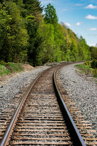 View of railroad track amidst trees