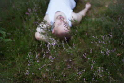 Low angle view of purple flowering plants on field