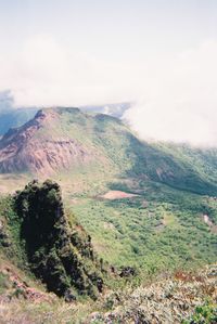 nature