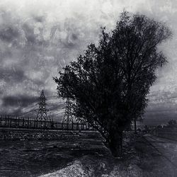 Bare trees on landscape against cloudy sky