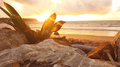 Scenic view of sea against sky during sunset