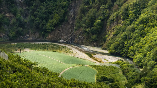 High angle view of road amidst trees in forest