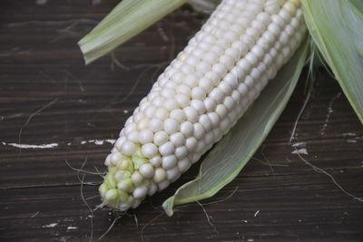 Detail shot of corn