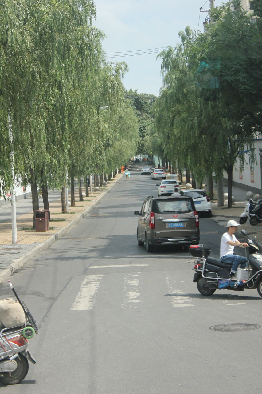 CARS ON STREET