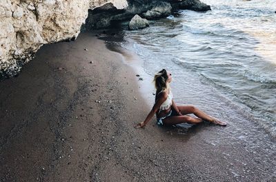 Dog on beach