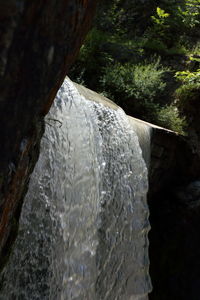 Close-up of water flowing through rocks in forest