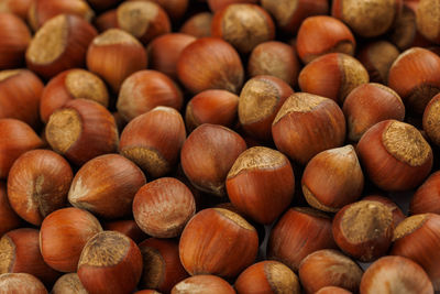 Pile of hazelnuts with shells full frame close-up background