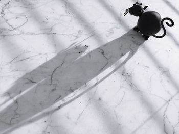 High angle view of toy on floor