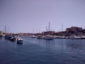 Sailboats moored in harbor against clear sky