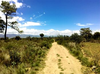 Dirt road amidst field against sky