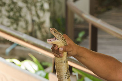 Midsection of person holding stick