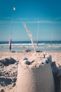 Close-up of crab on beach against sky