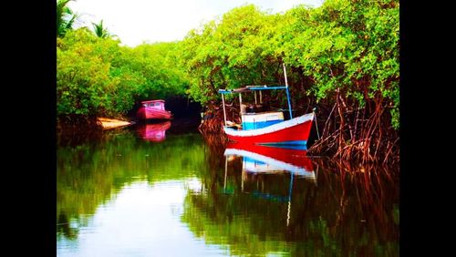 View of boats in lake