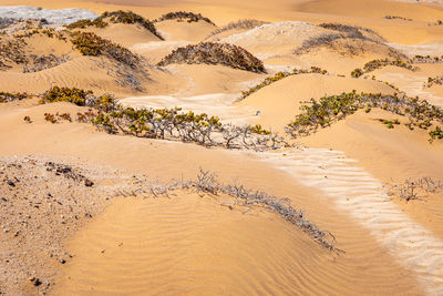 High angle view of beach