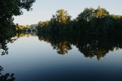 Reflection of trees in water