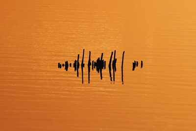 Silhouette wooden posts in water against orange sky