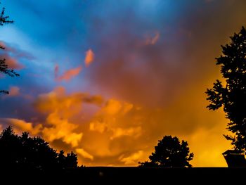 Silhouette of trees at sunset