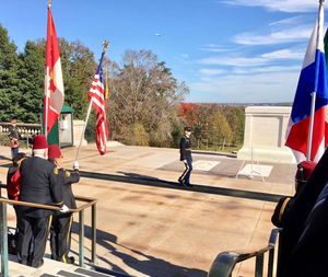 Panoramic view of flag and trees against sky