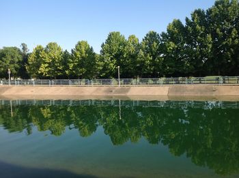 Trees reflection in the water 