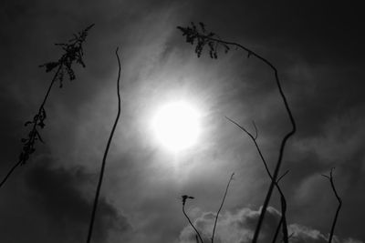 Low angle view of sun shining through clouds