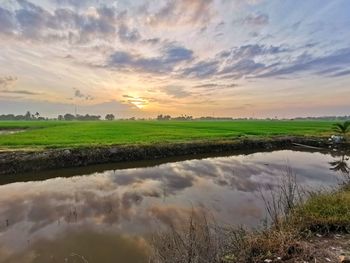 Scenic view of field against sky during sunset