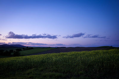Scenic view of agricultural field against sky during sunset