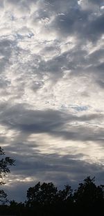 Low angle view of silhouette trees against sky