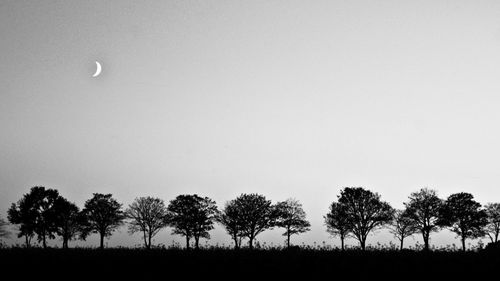 Trees on field against clear sky