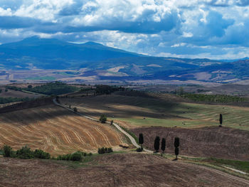 Scenic view of agricultural field against sky