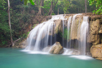 Scenic view of waterfall in forest