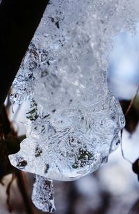 Close-up of frozen water